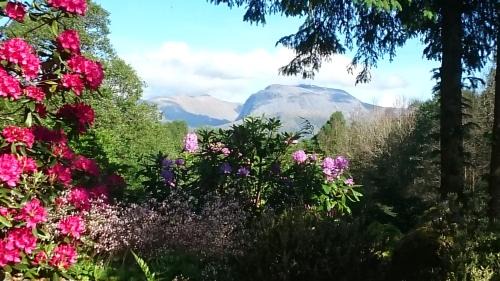 TOM BEAG - Ben Nevis view ROOMS