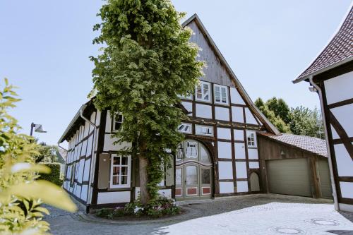 Tonis Traumhaus