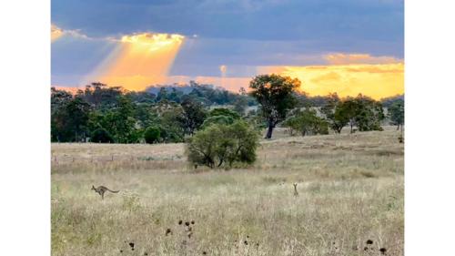 Toowoomba Valley Views by Tiny Away