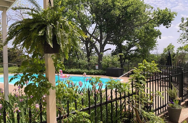 Top of the Hill-Cozy 1 bed/1 bath cottage, less than one mile to downtown.