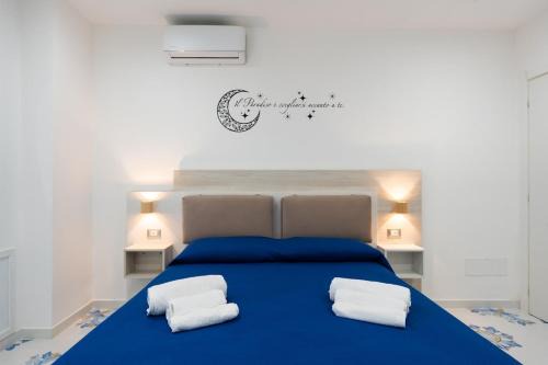 Total Comfort Plus