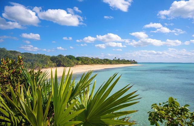 Pau Pau Bay Beach Estate