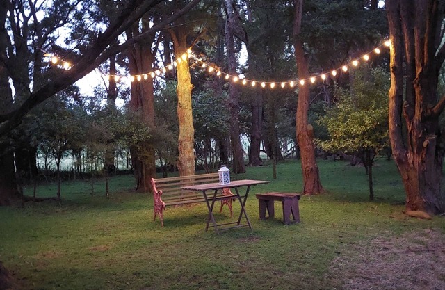 Totara Croft - a peaceful cabin with incredible views over a rural valley.