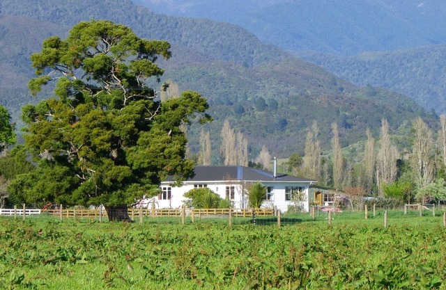 Totara Glen - Bucolic retreat in peaceful countryside