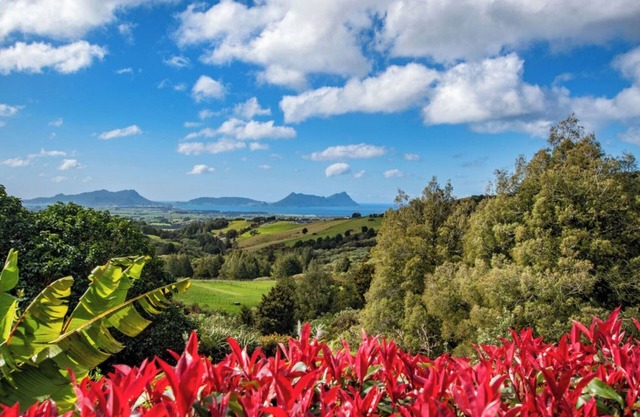 TOTARA RIDGE - A Private Escape with Ocean views