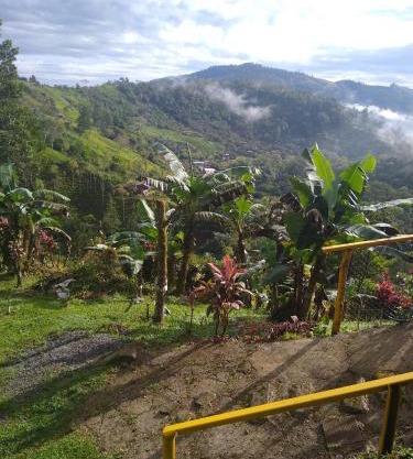 Toucan Mountain Rest