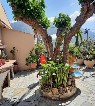 Toulas House