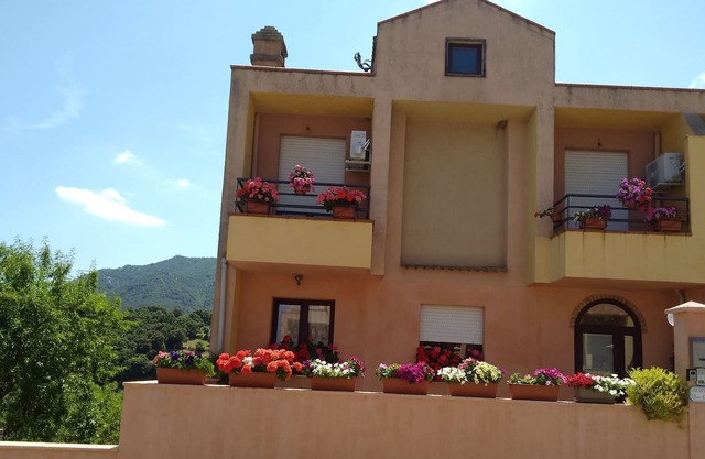 Terraced house, a small paradise in Ogliastra between the sea and the mountains.