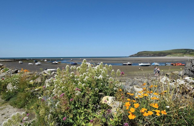 Towy Cottage