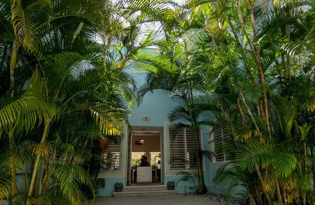 casona tradicional en Cozumel - Jardín y piscina