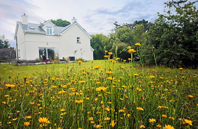 Traditional cosy retreat in the heart of Connemara