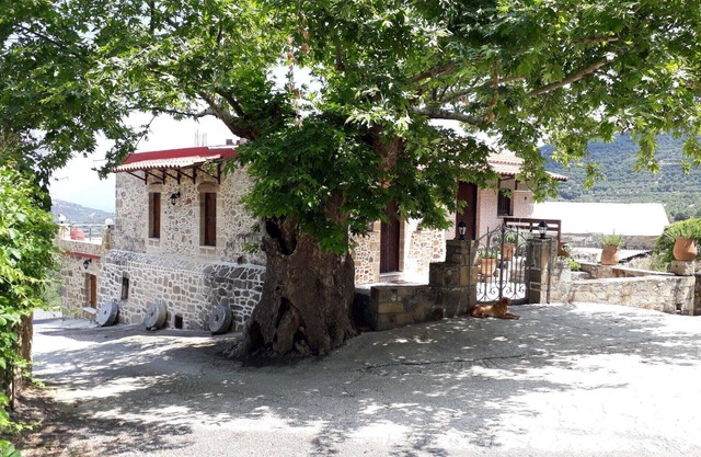 Casa Tradicional Koukounara