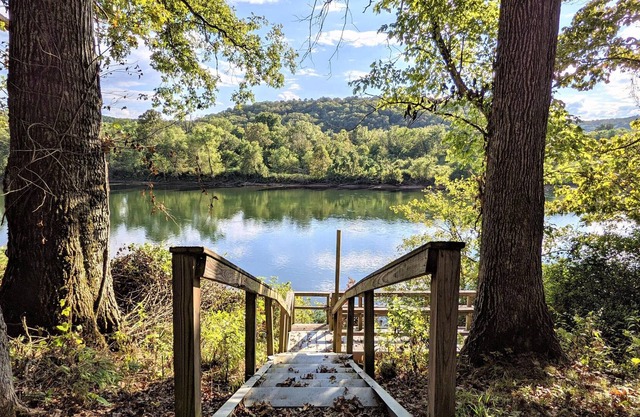Trail's End River Cabin ~ remote with fiber wifi