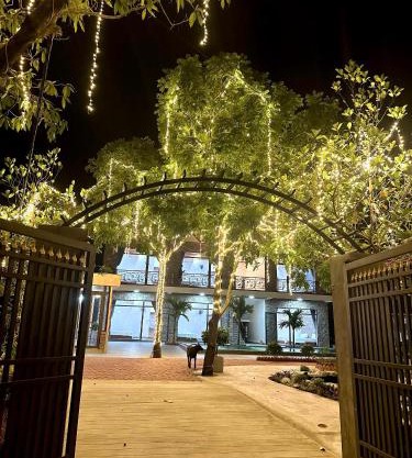Trang An Haven & Tranquil Homestay