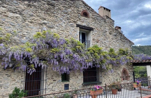 Tranquil apartment in an ancient Mas between the Pyrenees and the Mediterranean