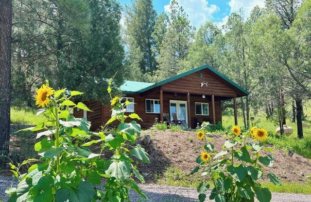 Tranquil escape nestled in the forest on a beautiful horse ranch.