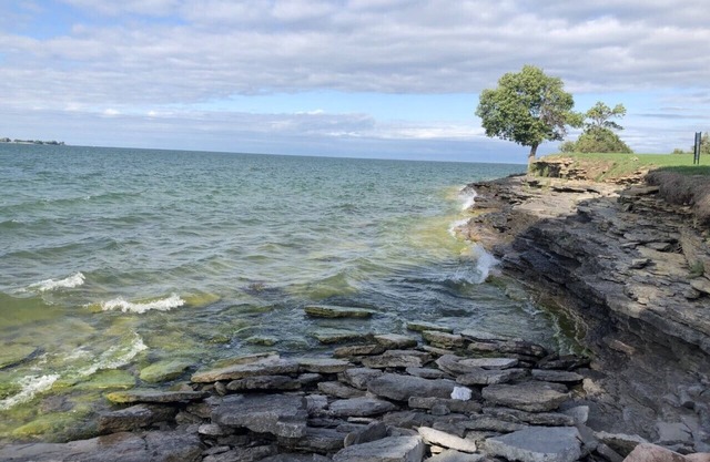 Tranquil Point