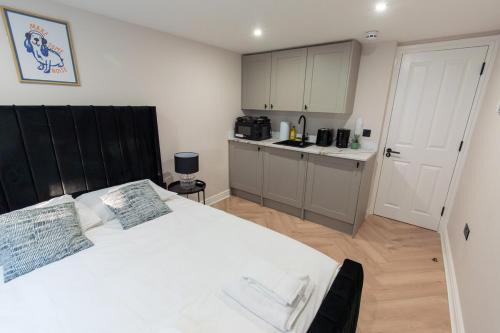 Tranquil Studio in Streatham - 5
