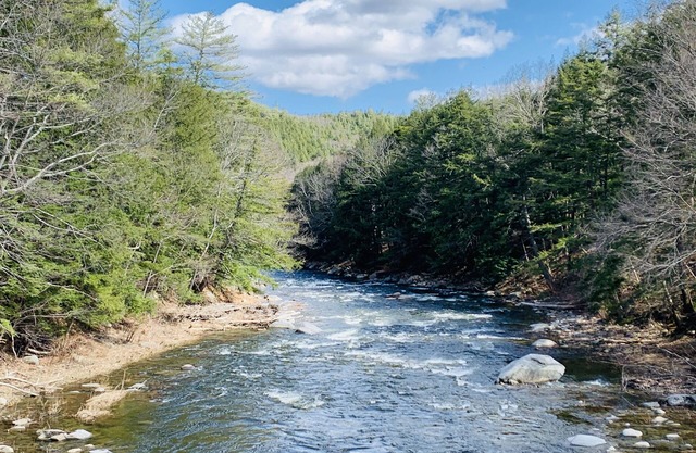 Tranquil VT River House