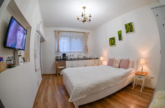 Transilvania Studio