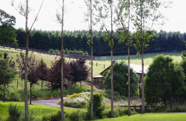 Traquebois