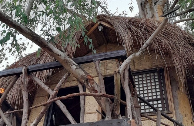 Traveler's Treehouse near Mapanuepe Lake