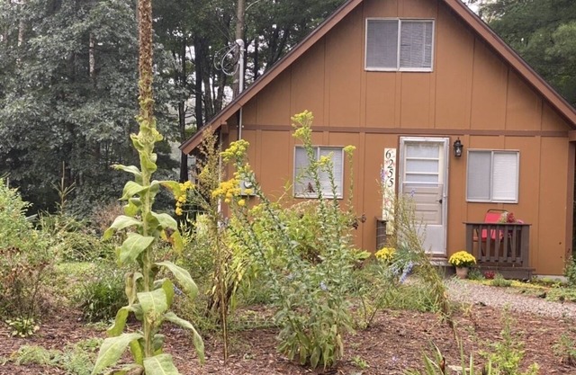 Traverse City Area, Family Friendly, Waterfront, Modern Home