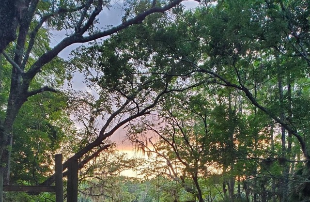 Treasure of the Suwannee
