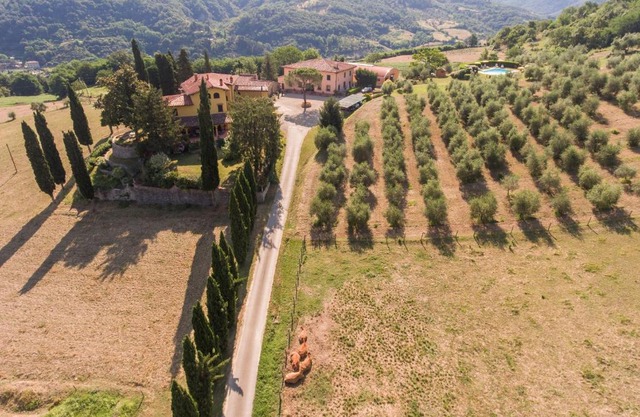Trebbiolo