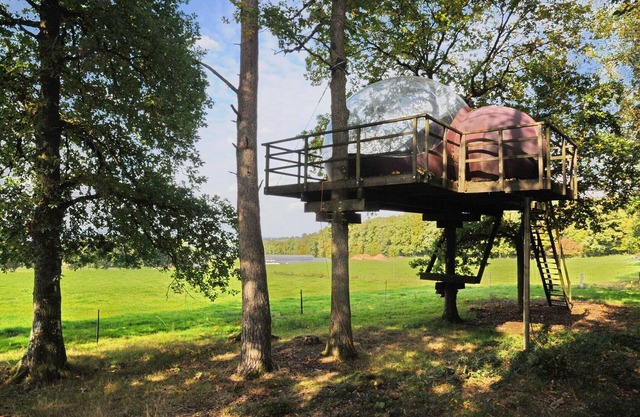 Tree Glamping in Fisenne with Ardennes View