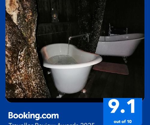 Tree House 4 Two