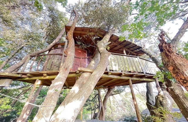 Tree House / Isumi County Chiba