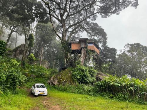 Tree House Munnar