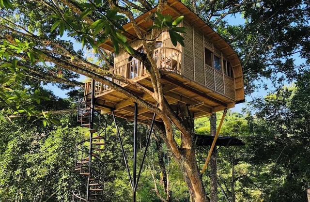Casa en el árbol TOBIA cerca a Bogotá