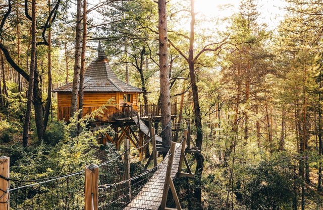 Tree house with private Jacuzzi - Aristoloche