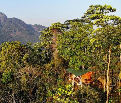 Tree Houses by Jungle River