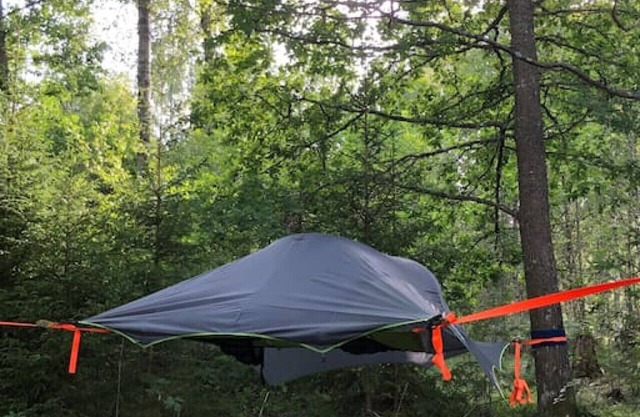 Tree-tent overlooking lake in private woodland