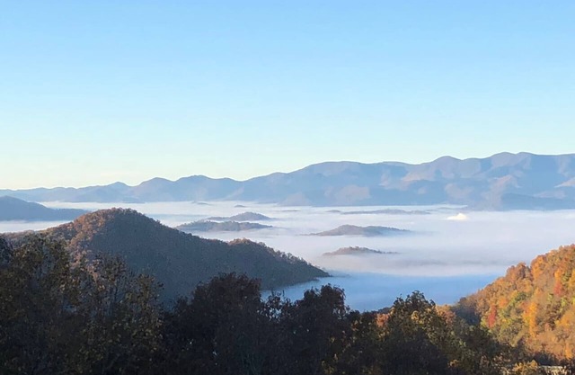 THE TREE TOPS @ WATAUGA VISTA