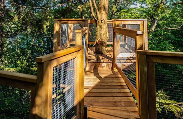 Treehouse #16 (Lakefront)