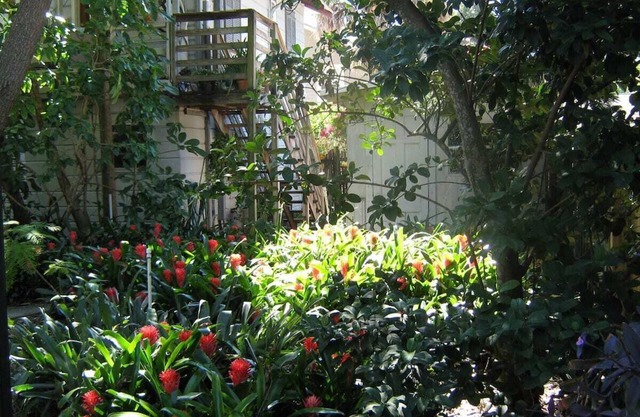 Treehouse 1BR Apt. Near Downtown, Private