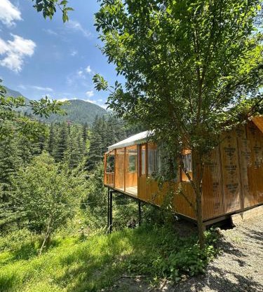 TreeHouse by The Woodpecker Inn Jibhi