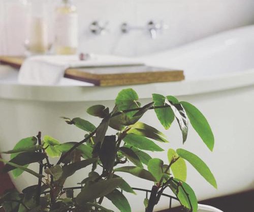 Treehouse Hideouts - Ground Level - Heygarth House Townhouse - Port of Echuca