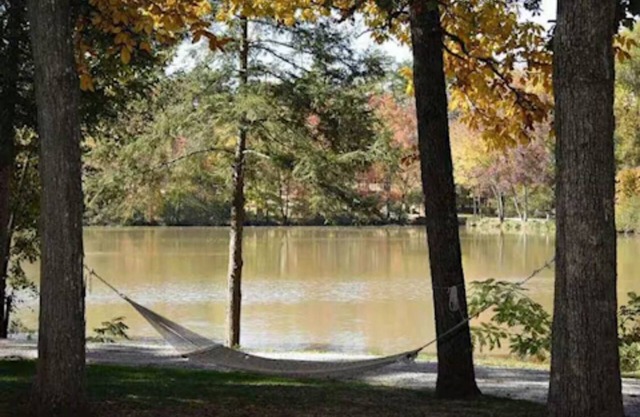 Treehouse on the Lake