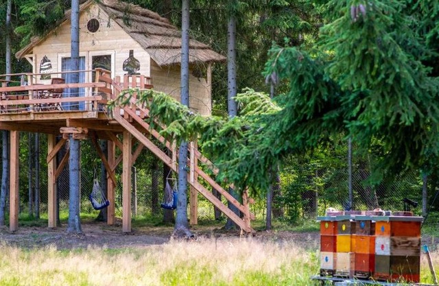 Treehouse U lesa