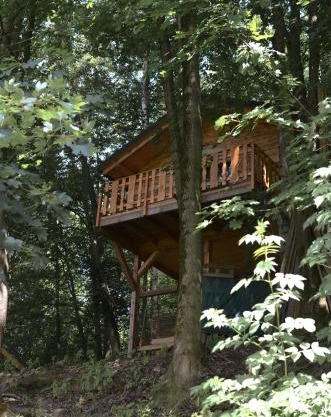 Treehouse Velké Losiny
