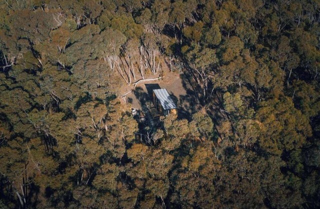 Treetops 2 by Tiny Away