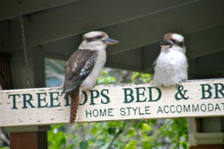Treetops Bed & Breakfast