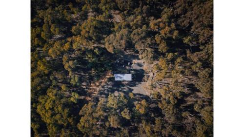 Treetops Farmstay 1 by Tiny Away