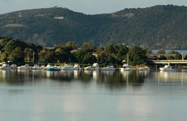 Copas de los árboles: espectaculares vistas al río y al mar