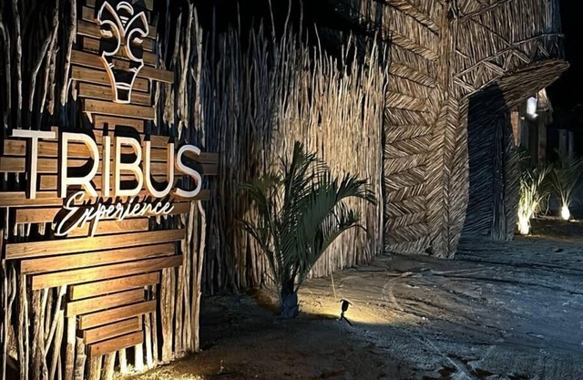 TRIBUS Experience Inn